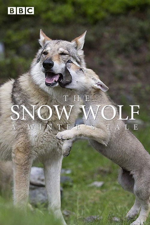 Movie poster for The Snow Wolf: A Winter's Tale (2018)
