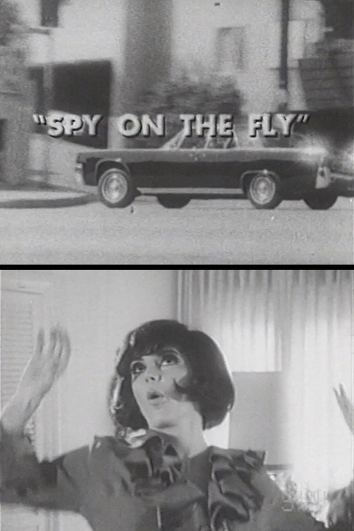 Movie poster for Spy on the Fly (1967)
