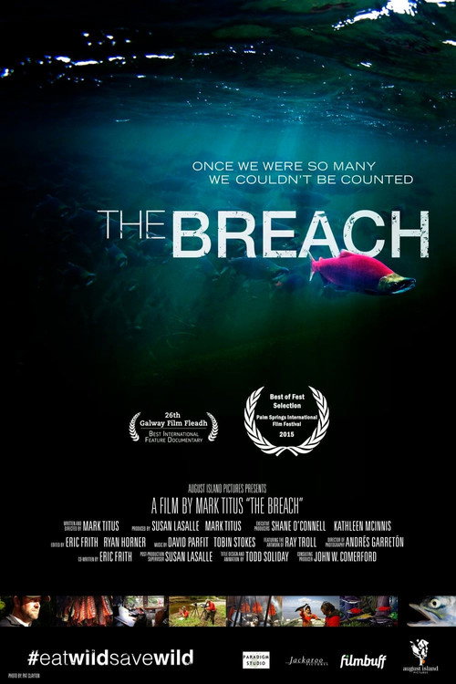 Movie poster for The Breach (2014)