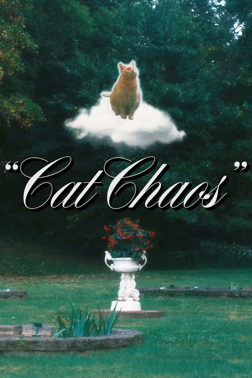 Movie poster for Cat Chaos (2024)