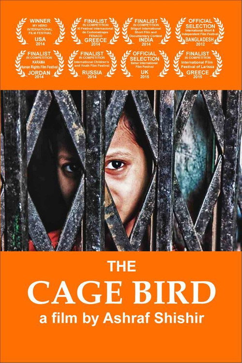 Movie poster for The Cage Bird (2012)
