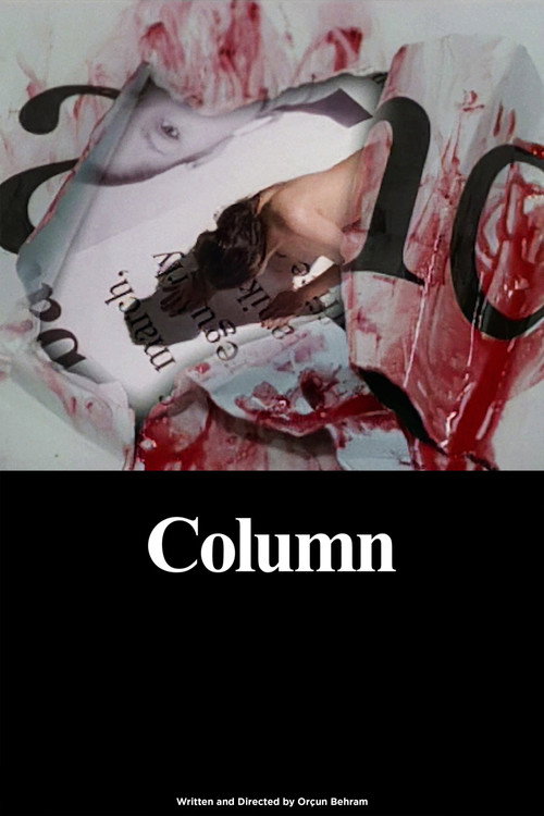 Movie poster for Column (2006)