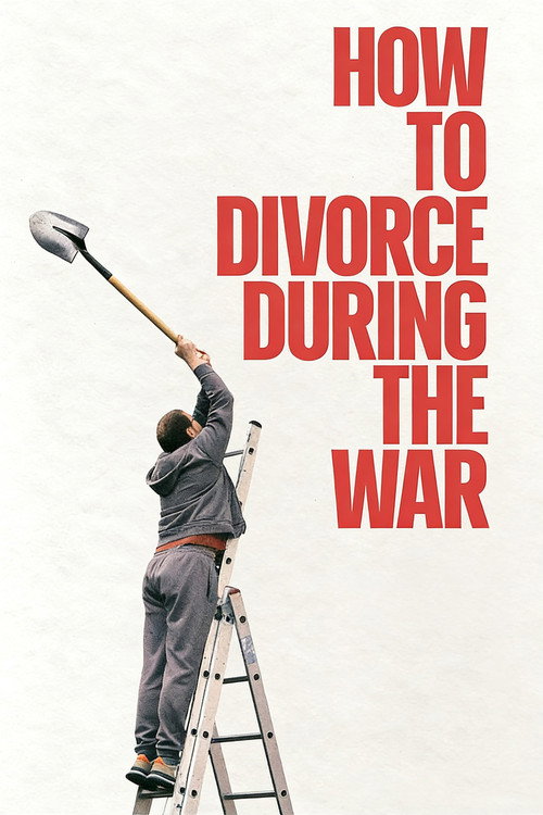Movie poster for How to Divorce During the War (2026)