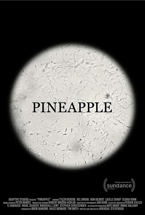 Movie poster for Pineapple (2017)