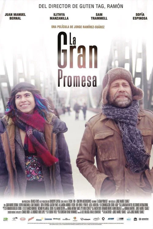Movie poster for The Big Promise (2018)