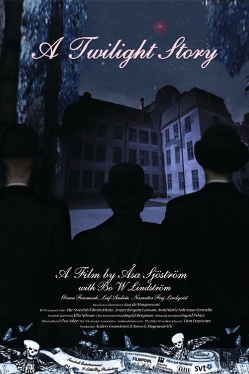 Movie poster for A Twilight Story (2006)