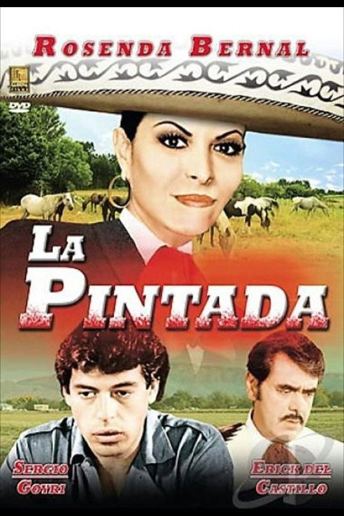 Movie poster for La pintada (1986)