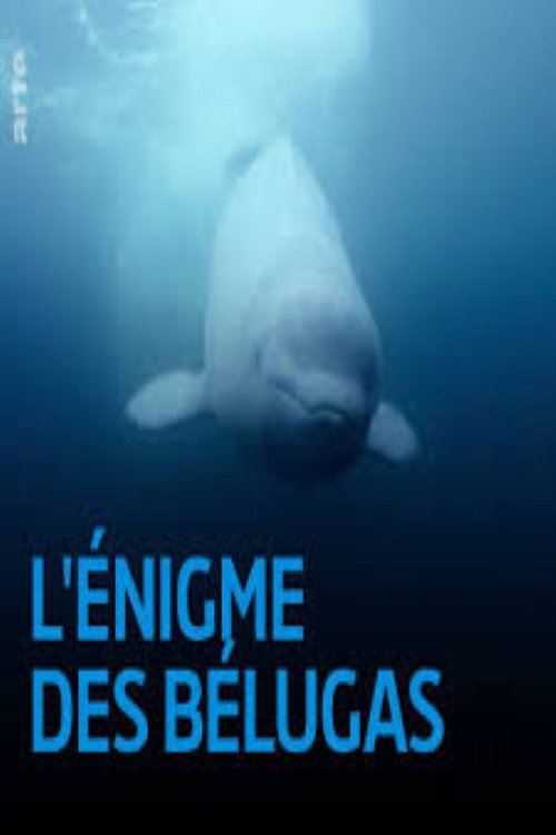 Movie poster for The Mystery of the Belugas (2017)