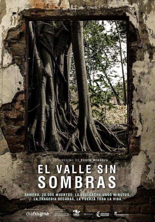 Movie poster for The shadowless valley (2015)