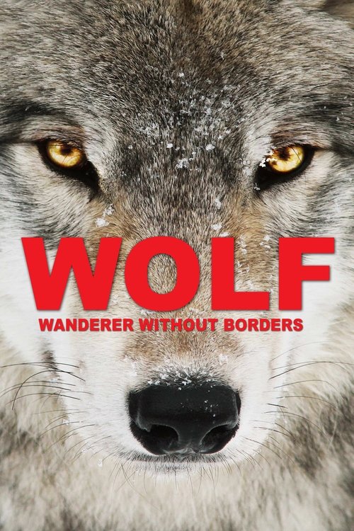 Movie poster for Wolf: Wanderer Without Borders (2022)