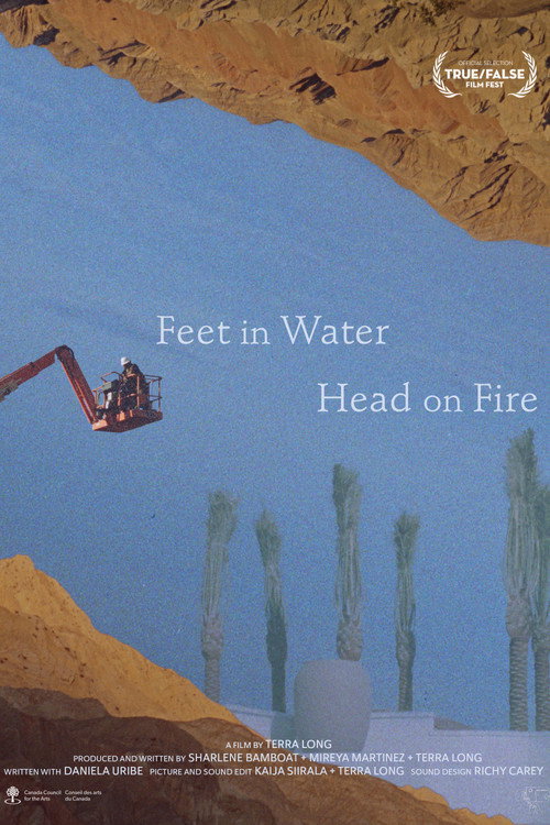 Movie poster for Feet in Water, Head on Fire (2023)