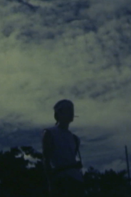 Movie poster for Light and Shadow (1993)