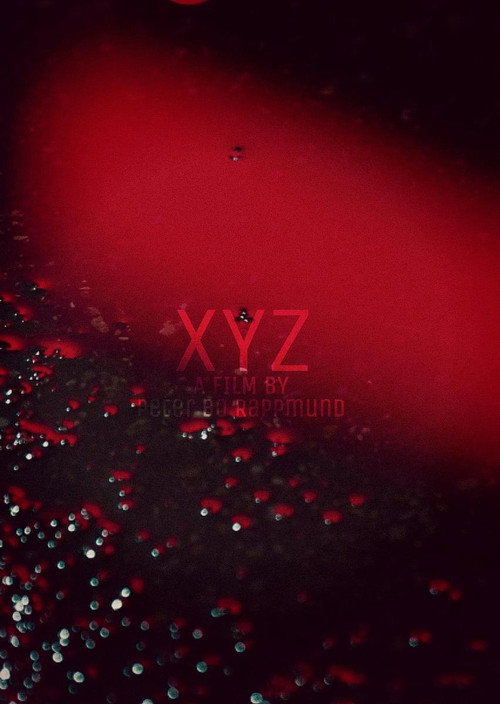 Movie poster for XYZ (2016)