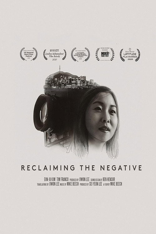 Movie poster for Reclaiming The Negative (2020)