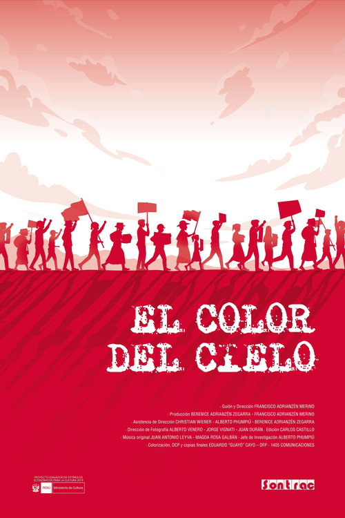Movie poster for The Color of the Sky (2024)