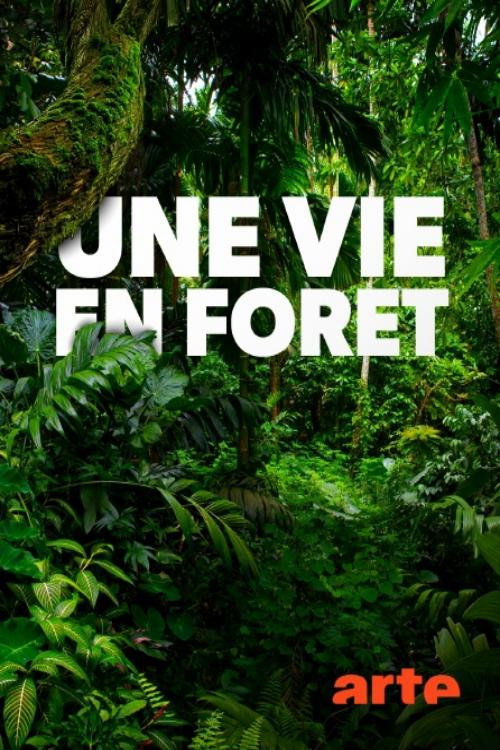 Movie poster for Une vie en forêt (2020)