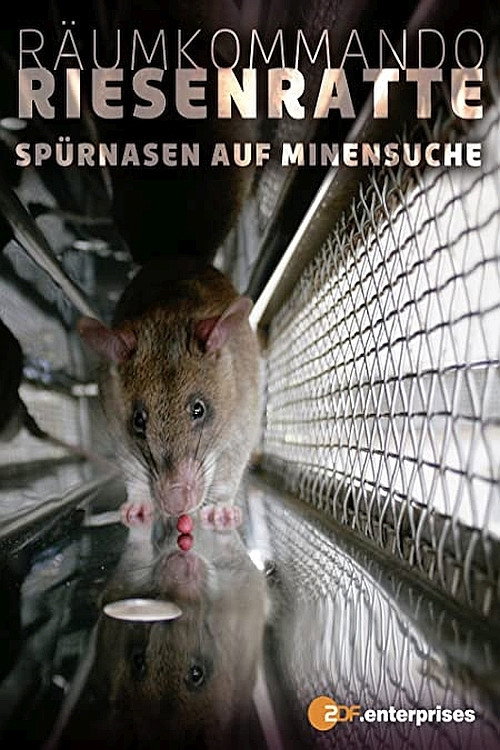 Movie poster for Räumkommando Riesenratte - Spürnasen auf Minensuche (2008)