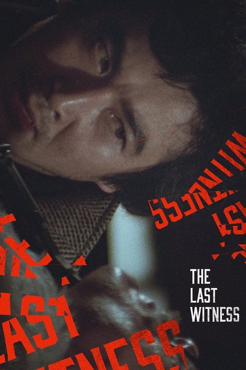 Movie poster for The Last Witness (1980)