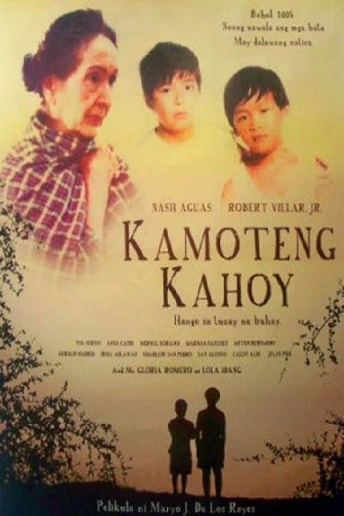 Movie poster for Kamoteng Kahoy (2009)