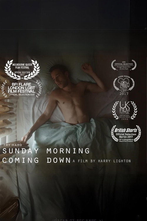 Movie poster for Sunday Morning Coming Down (2016)
