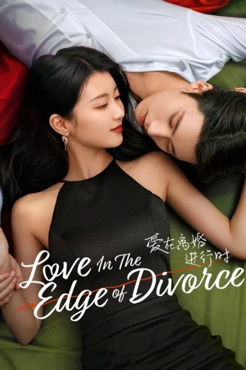 Love in the Edge of Divorce poster