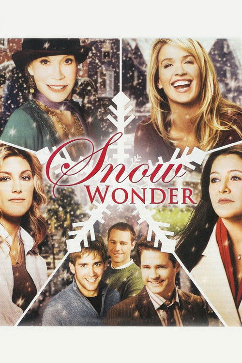 Movie poster for Snow Wonder (2005)