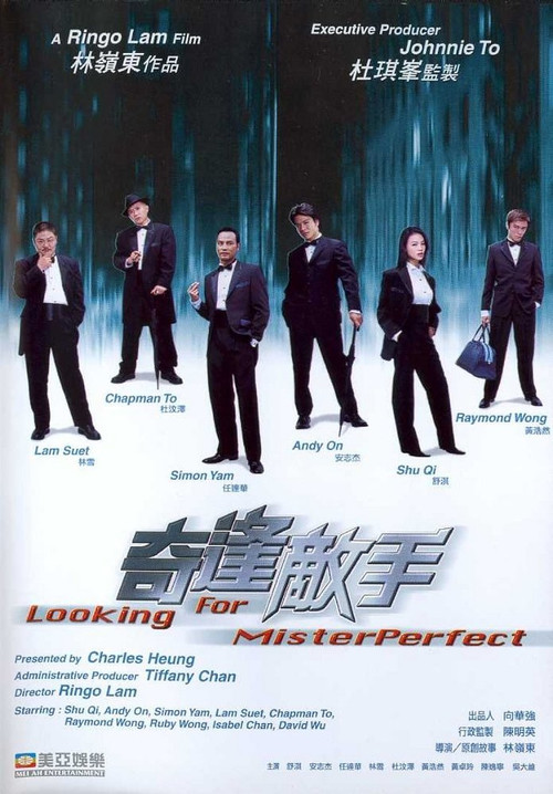 Movie poster for Looking for Mr. Perfect (2003)