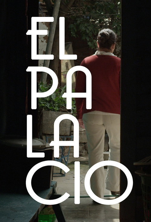 Movie poster for The Palace (2013)