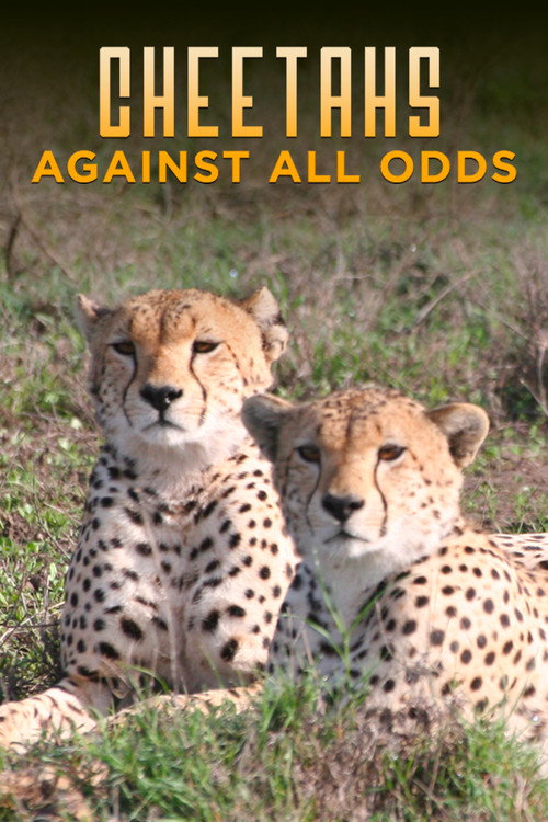 Movie poster for Cheetahs Against All Odds (2009)