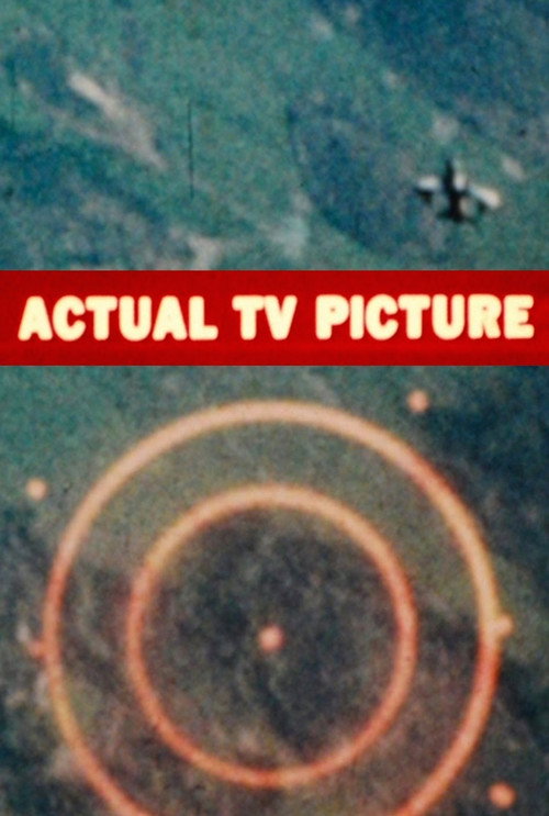 Movie poster for Actual TV Picture (2013)