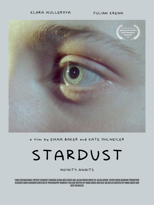 Movie poster for Stardust (2024)