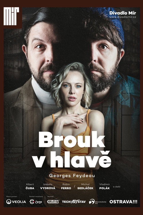 Movie poster for Brouk v hlavě (2024)