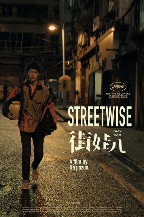 Movie poster for Streetwise (2021)