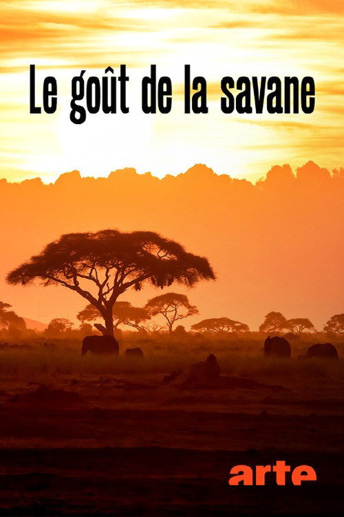 Movie poster for Le Goût de la savane : Herbivores et carnivores, festins croisés (2022)