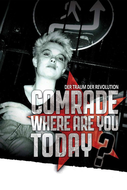 Movie poster for Comrade, Where Are You Today? (2016)