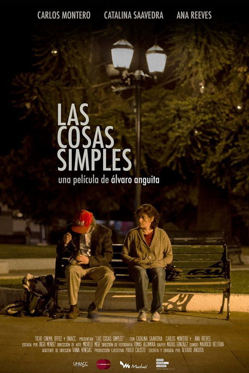 Movie poster for The Simple Things (2015)