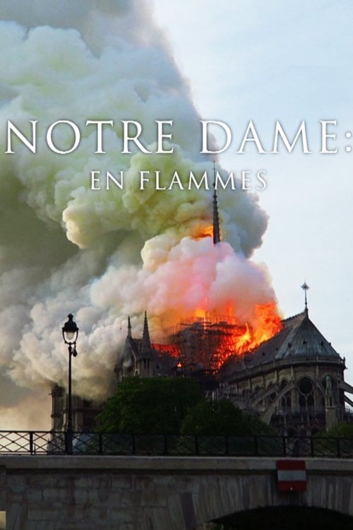 Movie poster for Pompiers de Paris : Sauver Notre-Dame (2019)