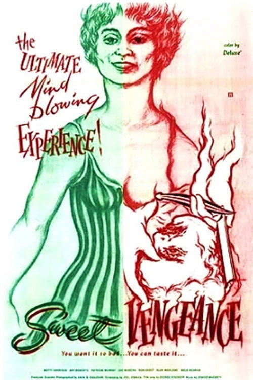 Movie poster for Sweet Vengeance (1970)