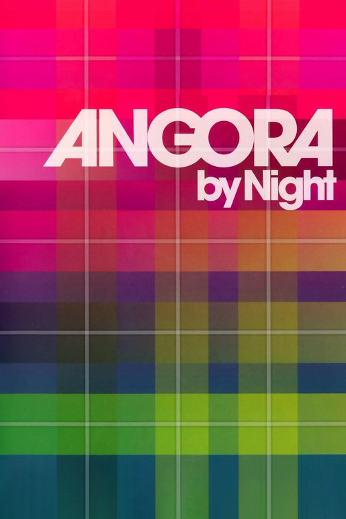 Angora by night poster