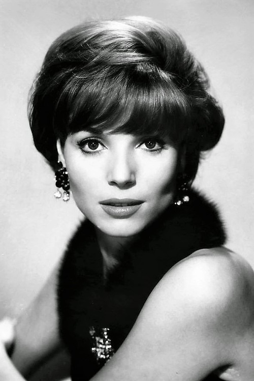 Photo of Elsa Martinelli, Acting