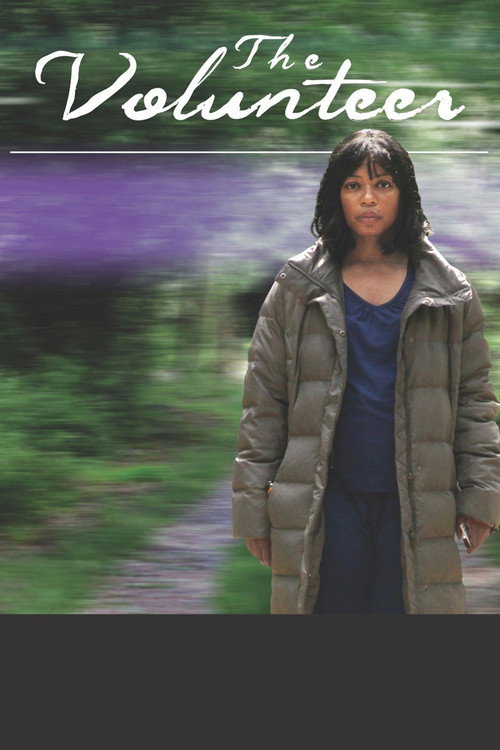 Movie poster for The Volunteer (2013)