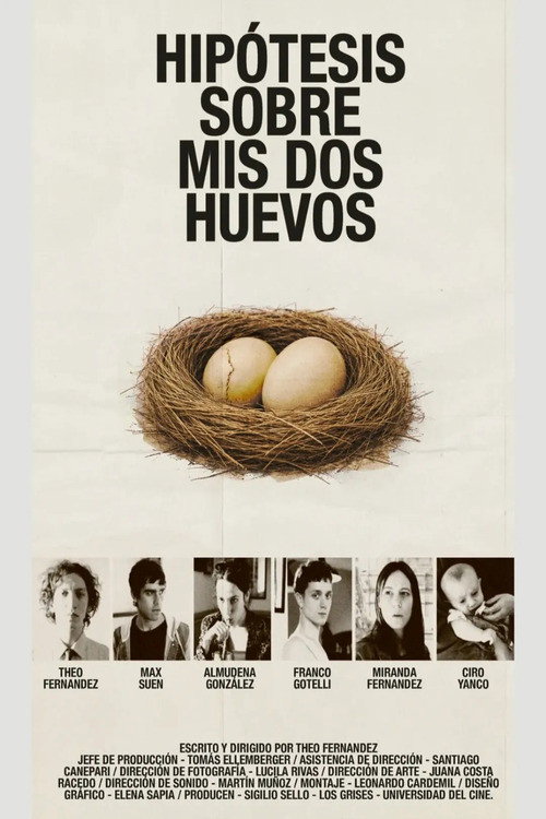 Movie poster for Hypothesis on My Two Balls (2026)