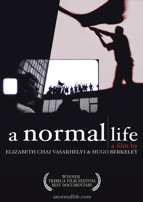 Movie poster for A Normal Life (2003)