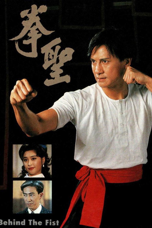 Movie poster for Behind the Fist (1993)