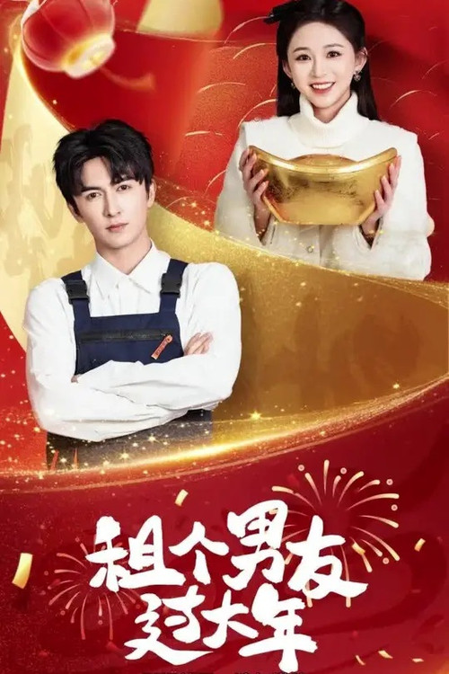 租个男友过大年 poster