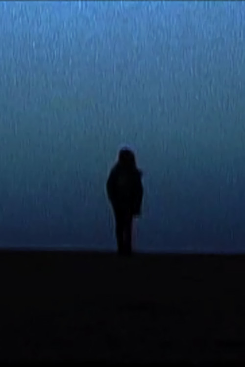 Movie poster for The blackbird of the blue womb (2002)