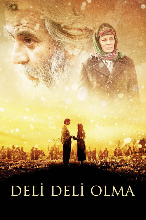 Movie poster for Piano Girl (2009)