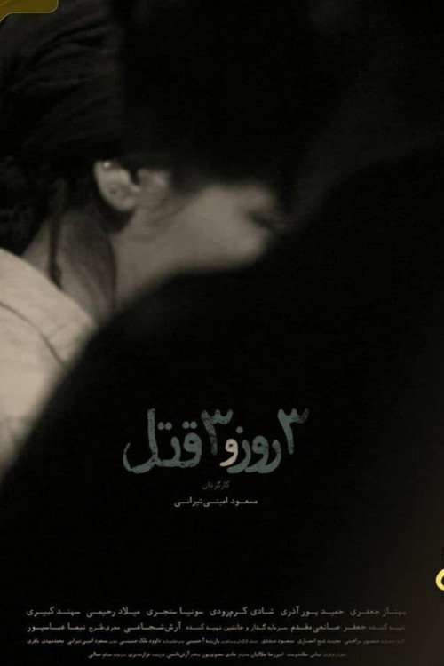 Movie poster for 3 Days and 3 Murders
