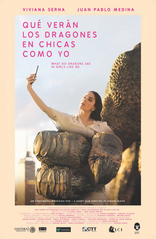 Movie poster for What Do Dragons See in a Girl Like Me? (2018)