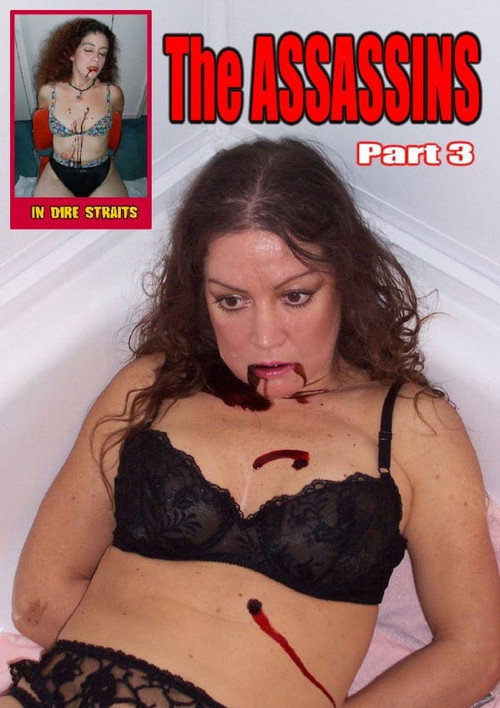 Movie poster for The Assassins Part 3 (2011)